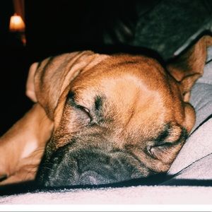 Meet your Posher, Anna